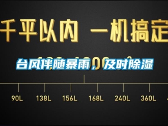 知識百科臺風伴隨暴雨，及時除濕
