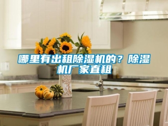 行業新聞哪里有出租除濕機的？除濕機廠家直租