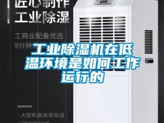 常見問題工業除濕機在低溫環境是如何工作運行的