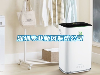 企業新聞深圳專業新風系統公司