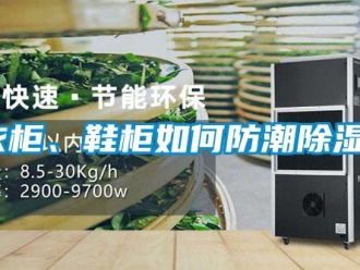常見問題衣柜、鞋柜如何防潮除濕？