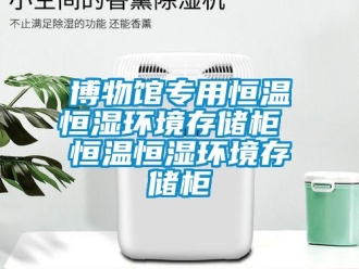 知識百科博物館專用恒溫恒濕環境存儲柜 恒溫恒濕環境存儲柜