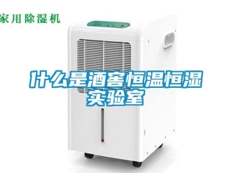知識百科什么是酒窖恒溫恒濕實驗室