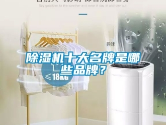 企業新聞除濕機十大名牌是哪些品牌？
