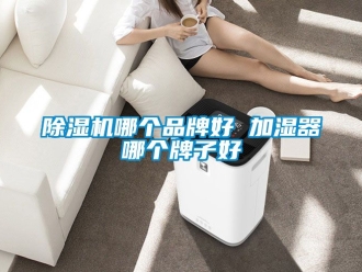 企業新聞除濕機哪個品牌好 加濕器哪個牌子好