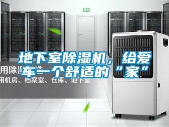 企業新聞地下室除濕機，給愛車一個舒適的“家”