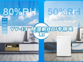 企業新聞YY-13 除濕機801專用電機