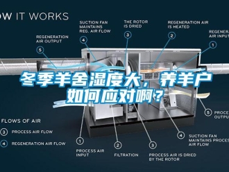 常見問題冬季羊舍濕度大，養羊戶如何應對??？
