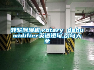 常見問題轉輪除濕機,rotary dehumidifier英語短句,例句大全