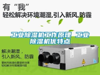 常見問題工業除濕機工作原理 工業除濕機優特點