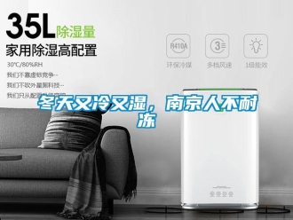 企業新聞冬天又冷又濕，南京人不耐凍