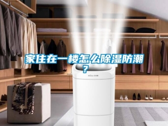 常見問題家住在一樓怎么除濕防潮？
