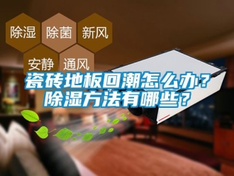 企業新聞瓷磚地板回潮怎么辦？除濕方法有哪些？