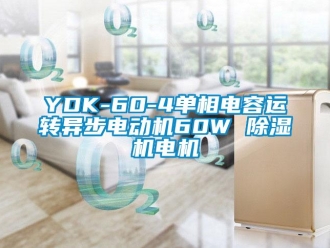 企業新聞YDK-60-4單相電容運轉異步電動機60W 除濕機電機
