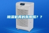 除濕機真的有用嗎？？