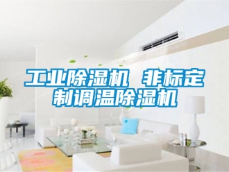 常見問題工業除濕機 非標定制調溫除濕機