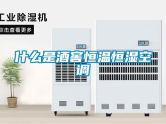知識百科什么是酒窖恒溫恒濕空調