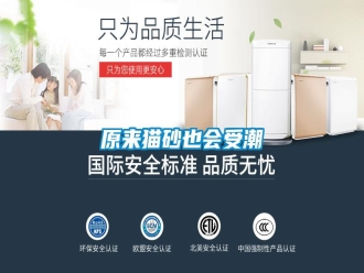 知識百科原來貓砂也會受潮