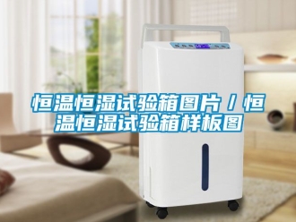 知識百科恒溫恒濕試驗箱圖片／恒溫恒濕試驗箱樣板圖