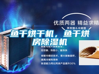 行業新聞魚干烘干機，魚干烘房除濕機