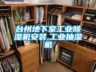 常見問題臺州地下室工業除濕機安裝,工業抽濕機