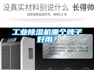 常見問題工業除濕機哪個牌子好用？