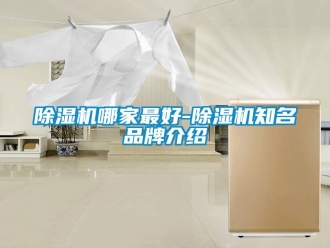 企業新聞除濕機哪家最好-除濕機知名品牌介紹