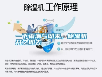 知識百科一下雨潮氣即來，除濕機開之即去