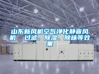 常見問題山東新風機空氣凈化靜音風機  過濾、除濕、除味等效果