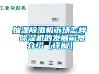 企業新聞抽濕除濕機市場怎樣 除濕機的發展前景介紹【詳解】