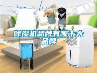 企業新聞除濕機品牌有哪十大品牌