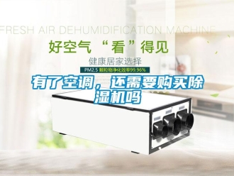 常見問題有了空調，還需要購買除濕機嗎