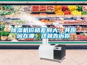 企業新聞除濕機價格差別大，其原因在哪，這就告訴你