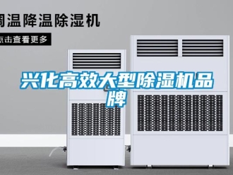 企業新聞興化高效大型除濕機品牌