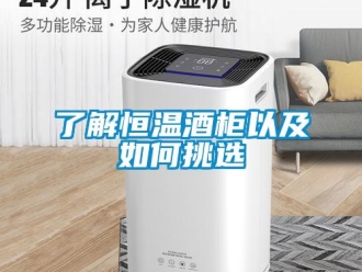 知識百科了解恒溫酒柜以及如何挑選