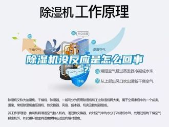 行業新聞除濕機沒反應是怎么回事？