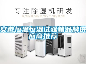 常見問題安徽恒溫恒濕試驗箱品牌供應商推薦