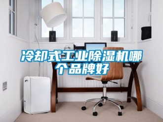 常見問題冷卻式工業除濕機哪個品牌好