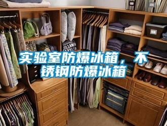 企業新聞實驗室防爆冰箱，不銹鋼防爆冰箱