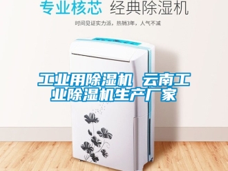 企業新聞工業用除濕機 云南工業除濕機生產廠家