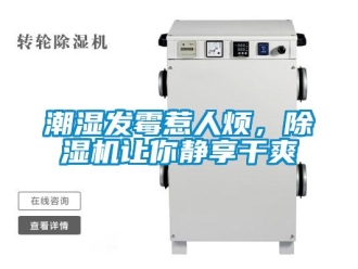 企業新聞潮濕發霉惹人煩，除濕機讓你靜享干爽
