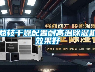 行業新聞荔枝干燥配置耐高溫除濕機效果好