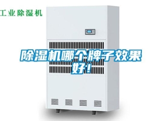 常見問題除濕機哪個牌子效果好！