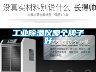 企業新聞工業除濕儀哪個牌子好