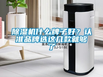 企業新聞除濕機什么牌子好？認準品牌選這幾款就夠了
