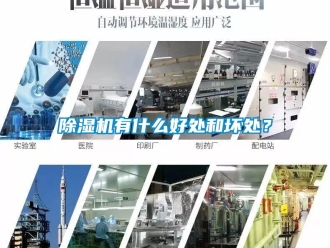 行業新聞除濕機有什么好處和壞處？