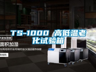 常見問題TS-1000 高低溫老化試驗箱