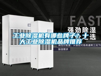 常見問題工業除濕機有哪些牌子？十大工業除濕機品牌推薦