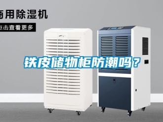 常見問題鐵皮儲物柜防潮嗎？