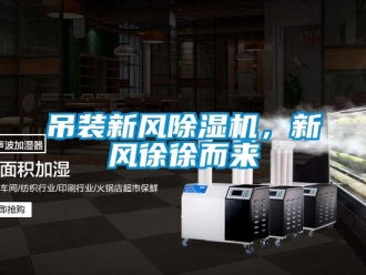 企業新聞吊裝新風除濕機，新風徐徐而來